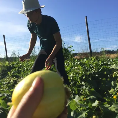 Farm in Western Oregon